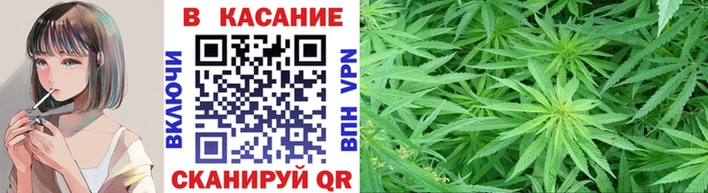 Где купить наркоту Пятигорск Кокаин Гашиш
