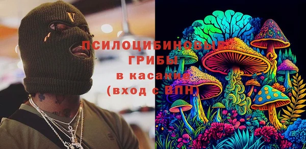 mdpv Богородицк