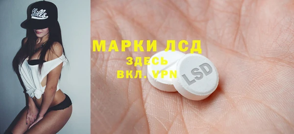 прущий лед Богданович