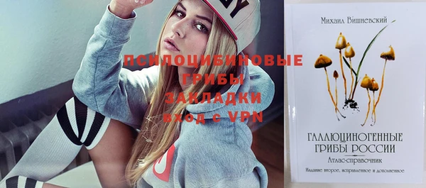 синтетический гашиш Богородск