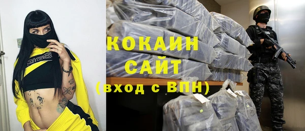 прущий лед Богданович