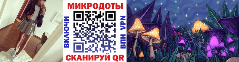 Псилоцибиновые грибы Cubensis  цены наркотик  Пятигорск 