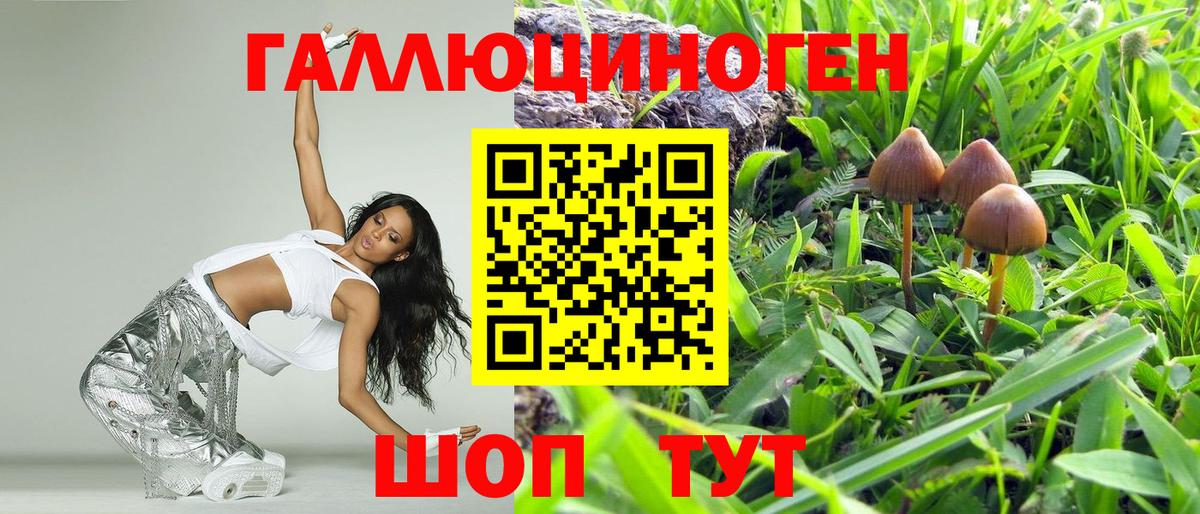 Галлюциногенные грибы GOLDEN TEACHER Пятигорск